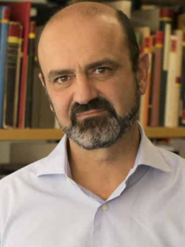 Portrait von Prof. Dr. Diamantis Panagiotopoulos