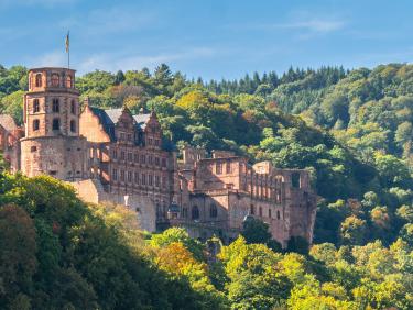 Blick auf das Heidelberger Schloss, umrandet von Bäumen, an einem Sommertag mit blauem Himmel.