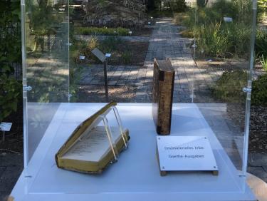 Zu sehen ist ein Glaskubus, der zwei alte Bücher mit Ledereinband und eine Texttafel enthält. Es handelt sich um Goethe-Ausgaben, die als materielles und immaterielles kulturelles Erbe Teil einer Ausstellung im Botanischen Garten sind.